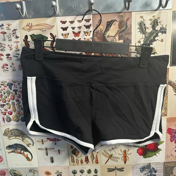 TNA size large, booty shorts. Super cute, good condition! - Picture 2 of 3